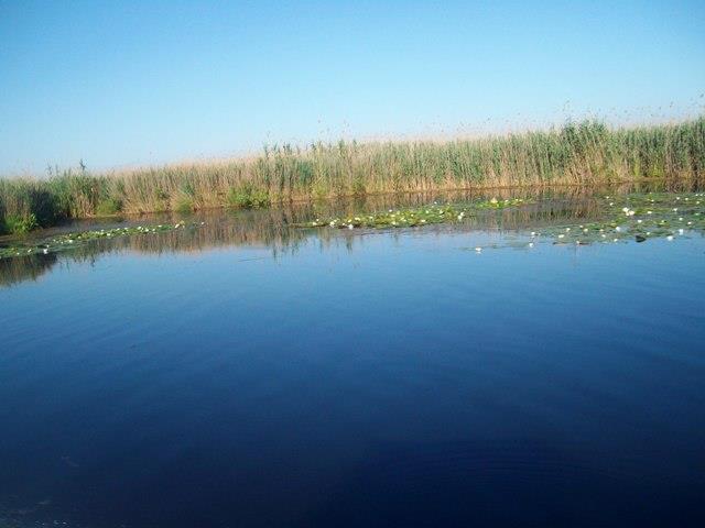 Doar ... NATURA  - 2 - sany0787.JPG